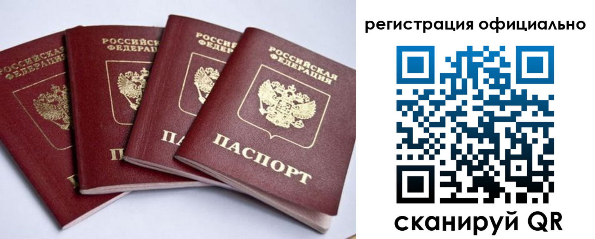 пропишу в квартире в Волгоградской области